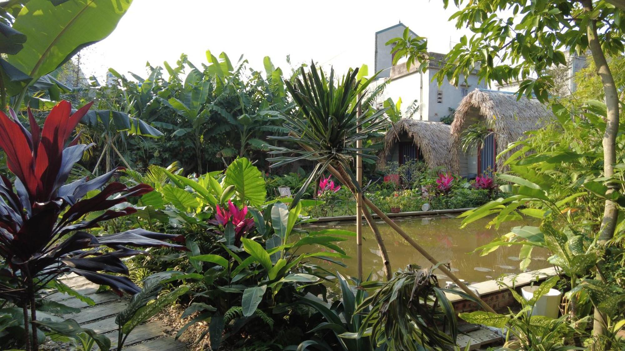 Amy House Apartamento Ninh Binh Exterior foto